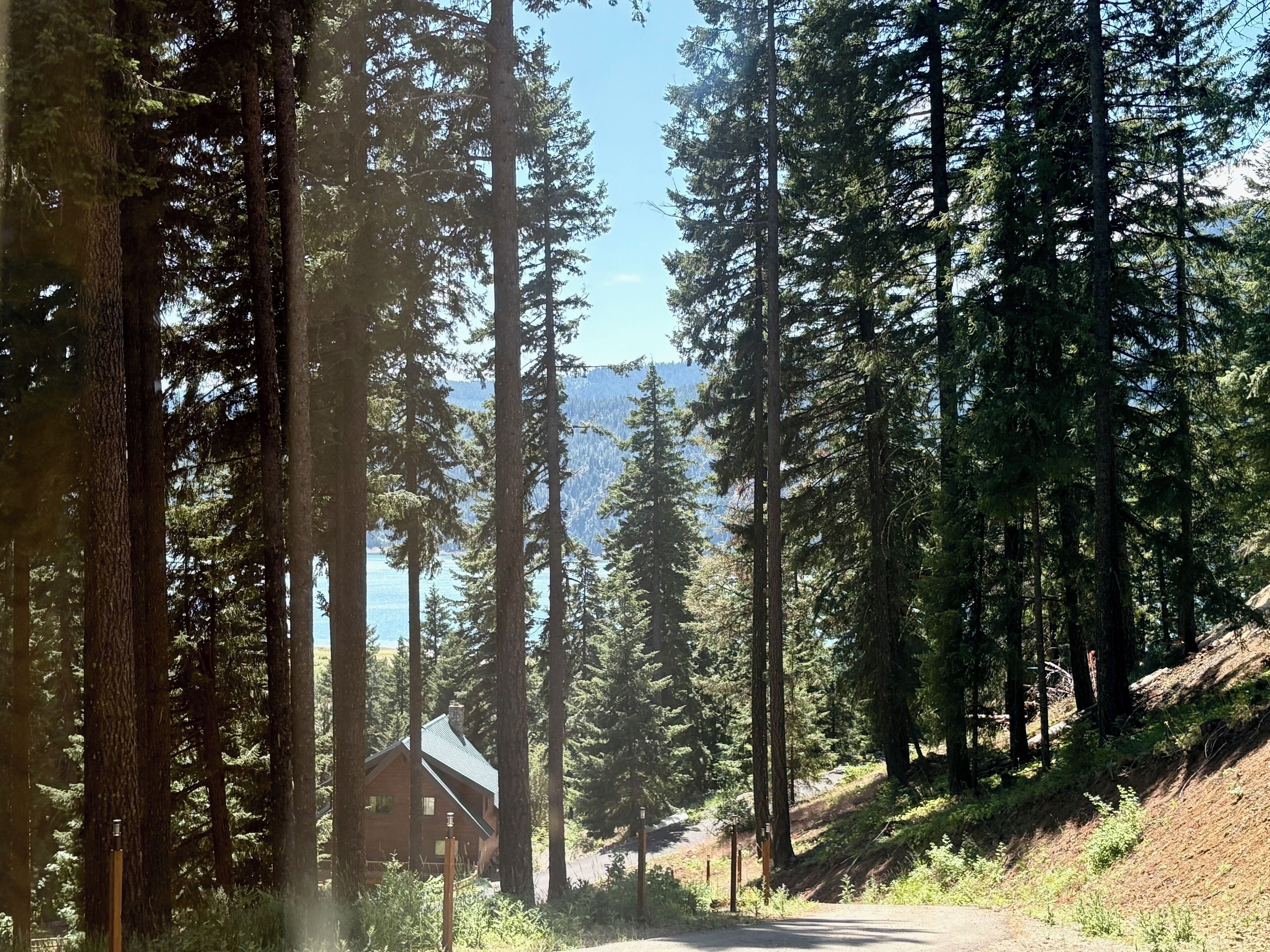 A cabin surrounded by tall pine trees with a clear view of the mountains in the background.