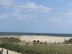 Condo, 1 Bedroom | Beach | On the beach