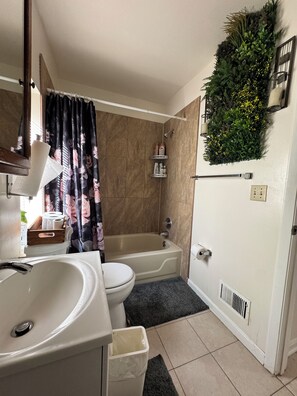 Premium Apartment | Bathroom | Separate bathtub and shower, hair dryer, towels, soap