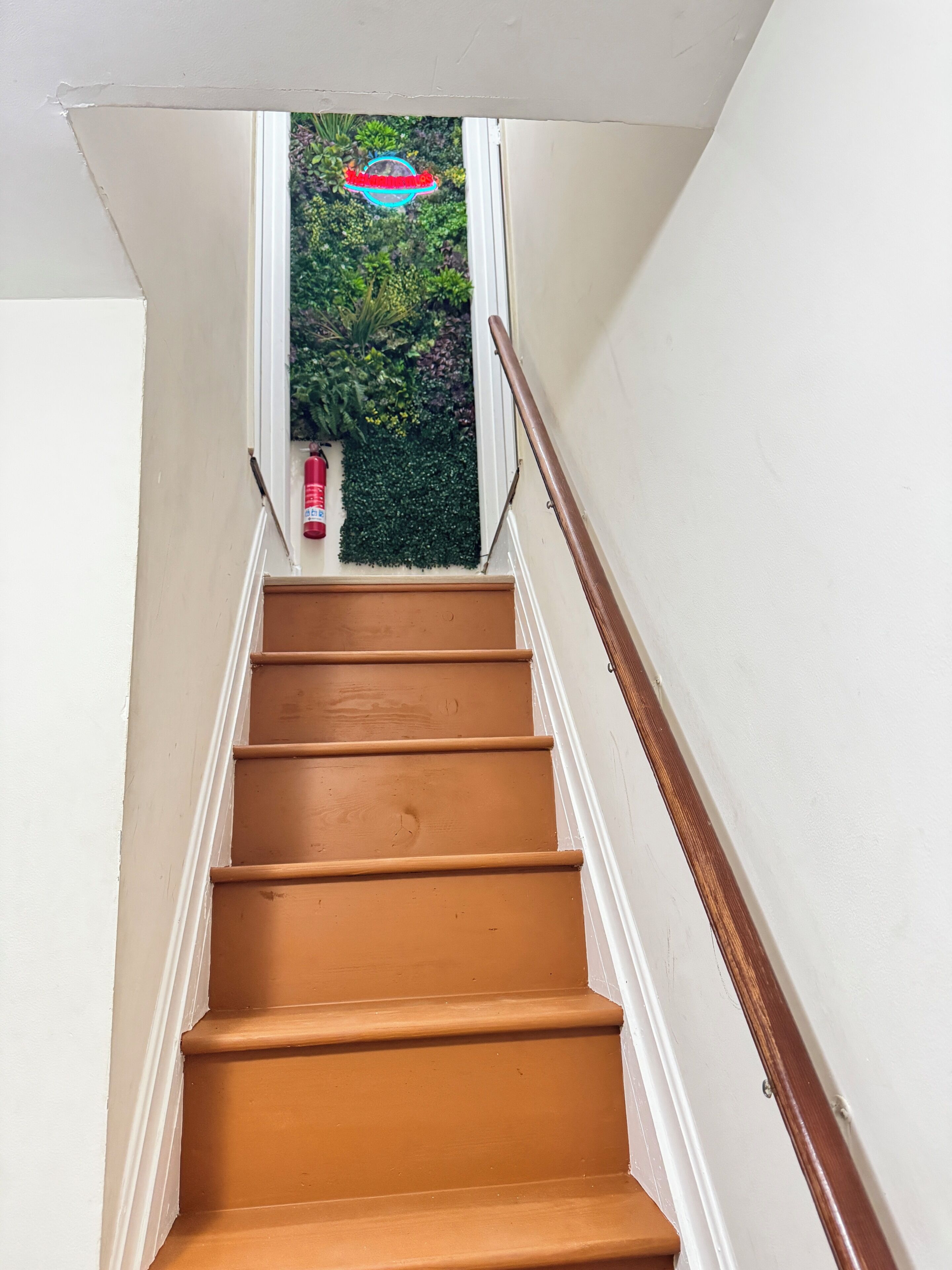 A staircase with a wooden handrail, white walls, and a small green plant at the top.