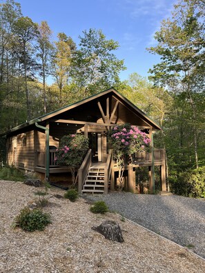 Exterior - Little Heaven in the Pines (Blue Ridge)