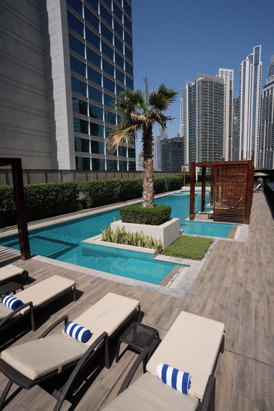 A rooftop pool area with lounge chairs, a palm tree, and modern buildings in the background.