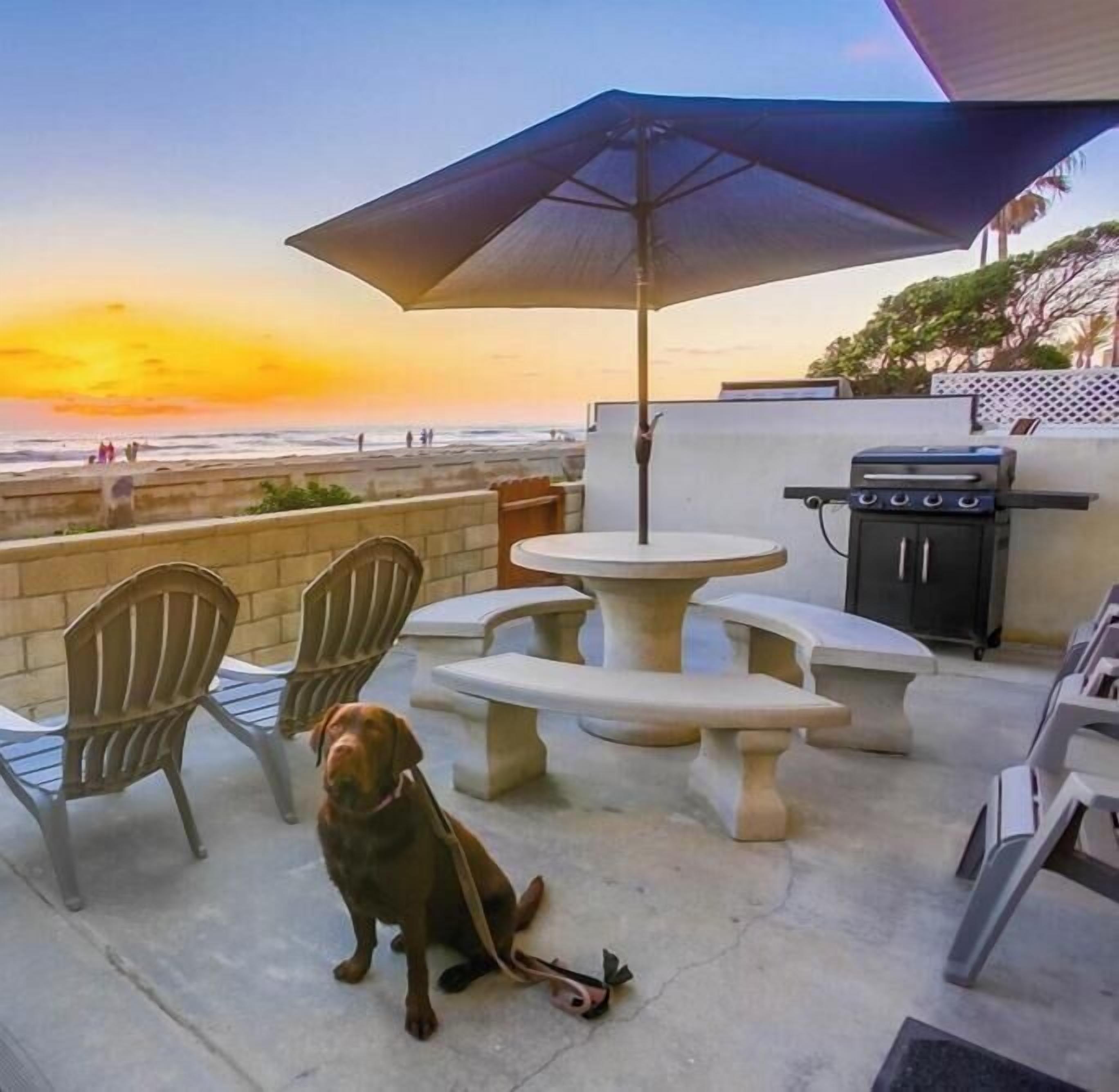 Un patio con vista a la playa, mobiliario exterior y una parrilla.