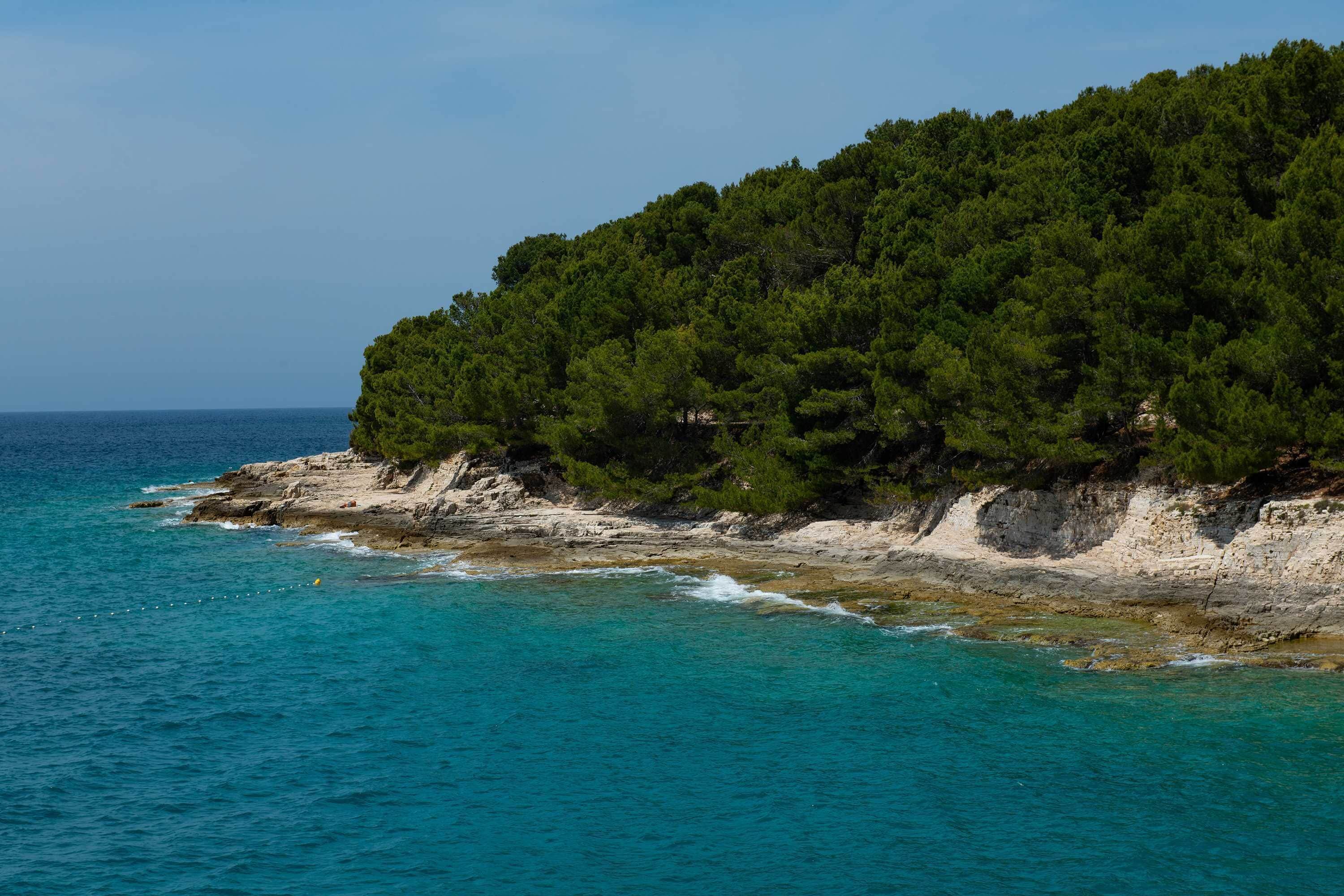 A coastal landscape with a rocky shoreline and dense green forest.