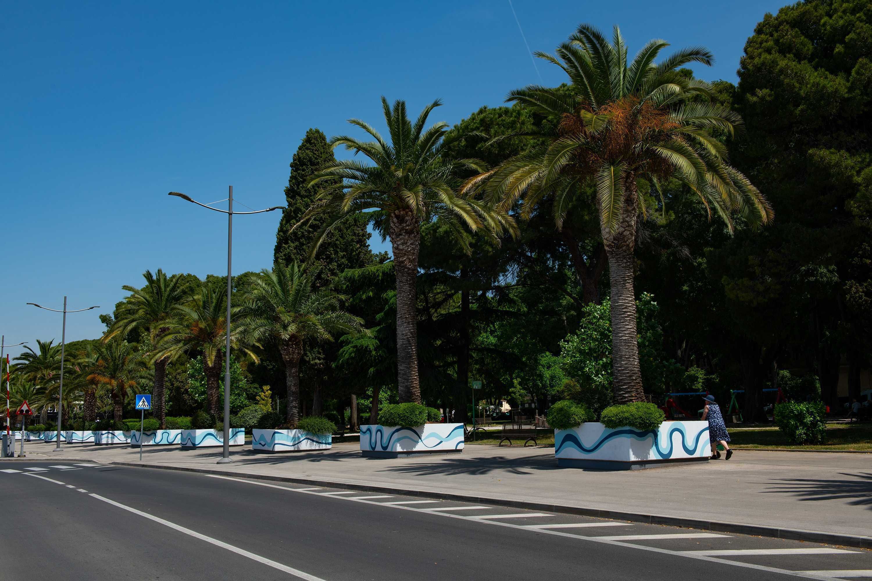 A street lined with palm trees and a pedestrian crossing.