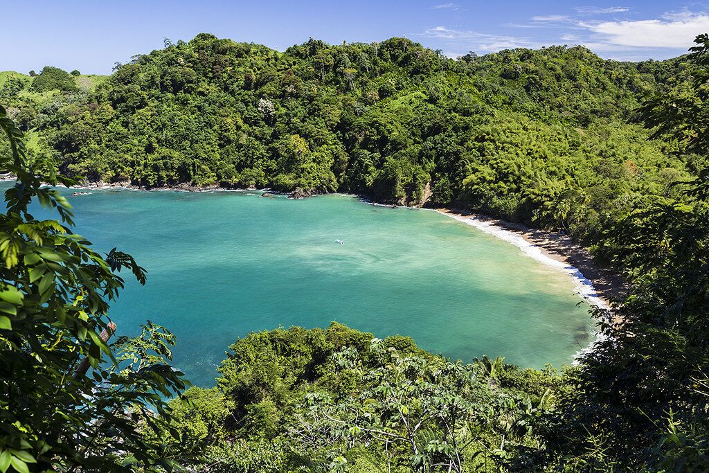 A coastal landscape with dense greenery and a clear turquoise sea.