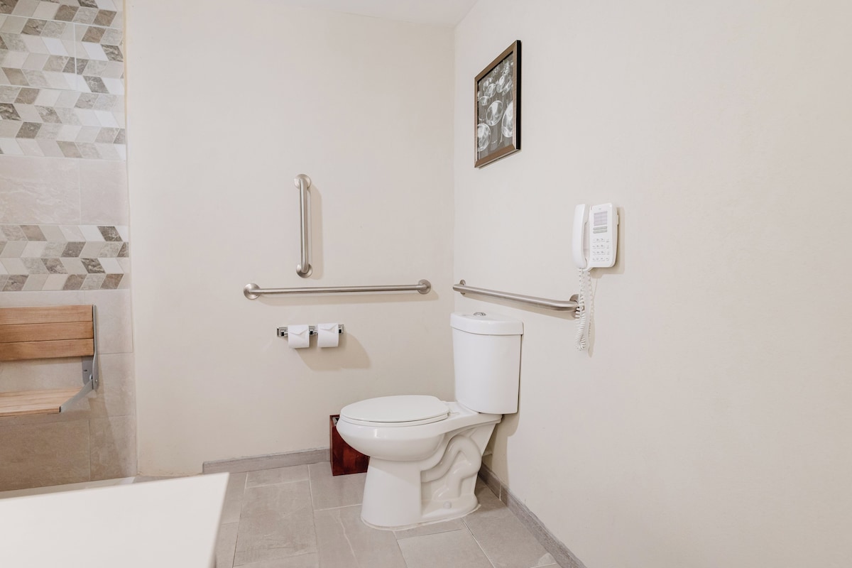 A bathroom with a toilet, handrails, a telephone, and a picture on the wall.