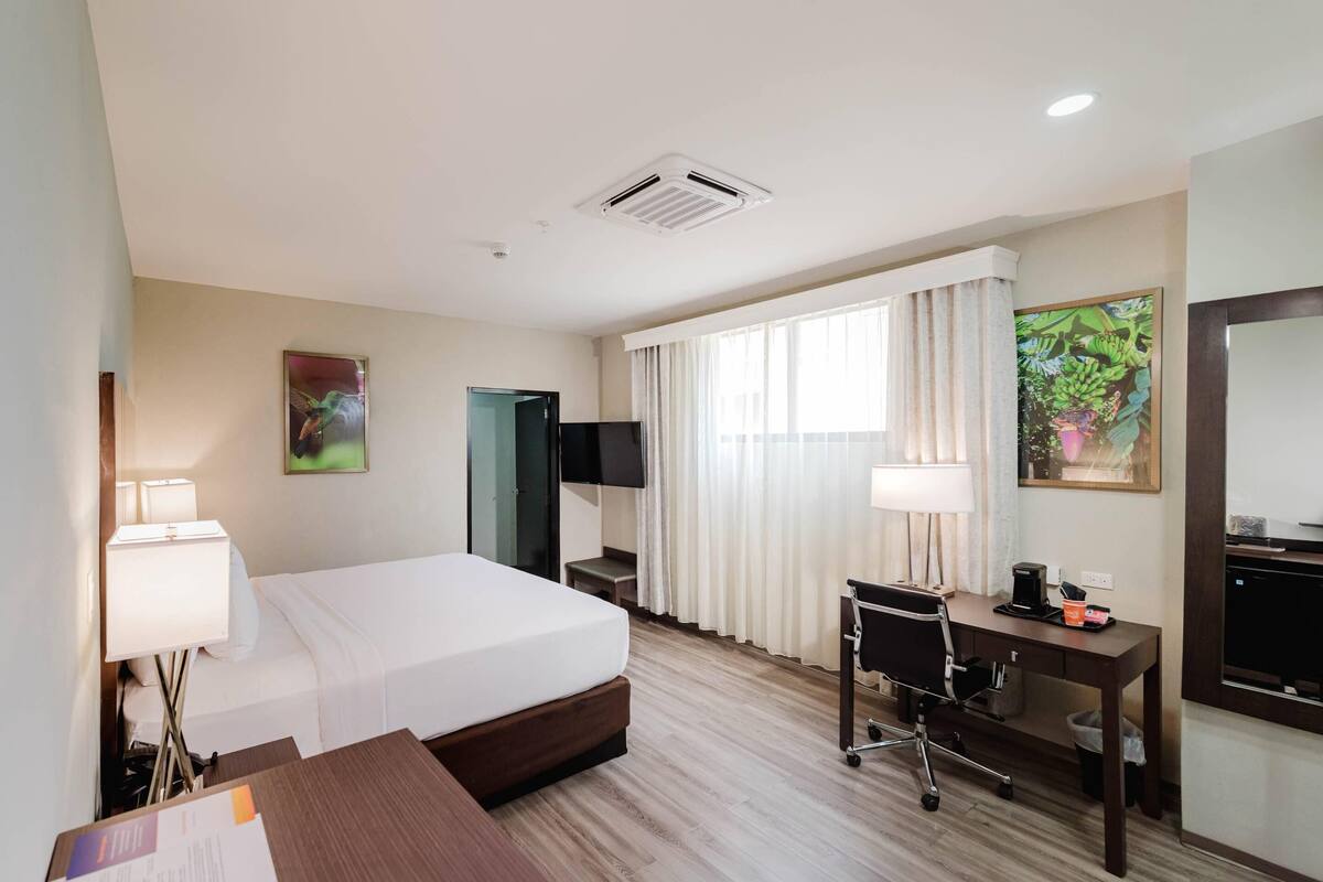 A hotel room with a bed, desk, chair, TV, and a window with curtains.
