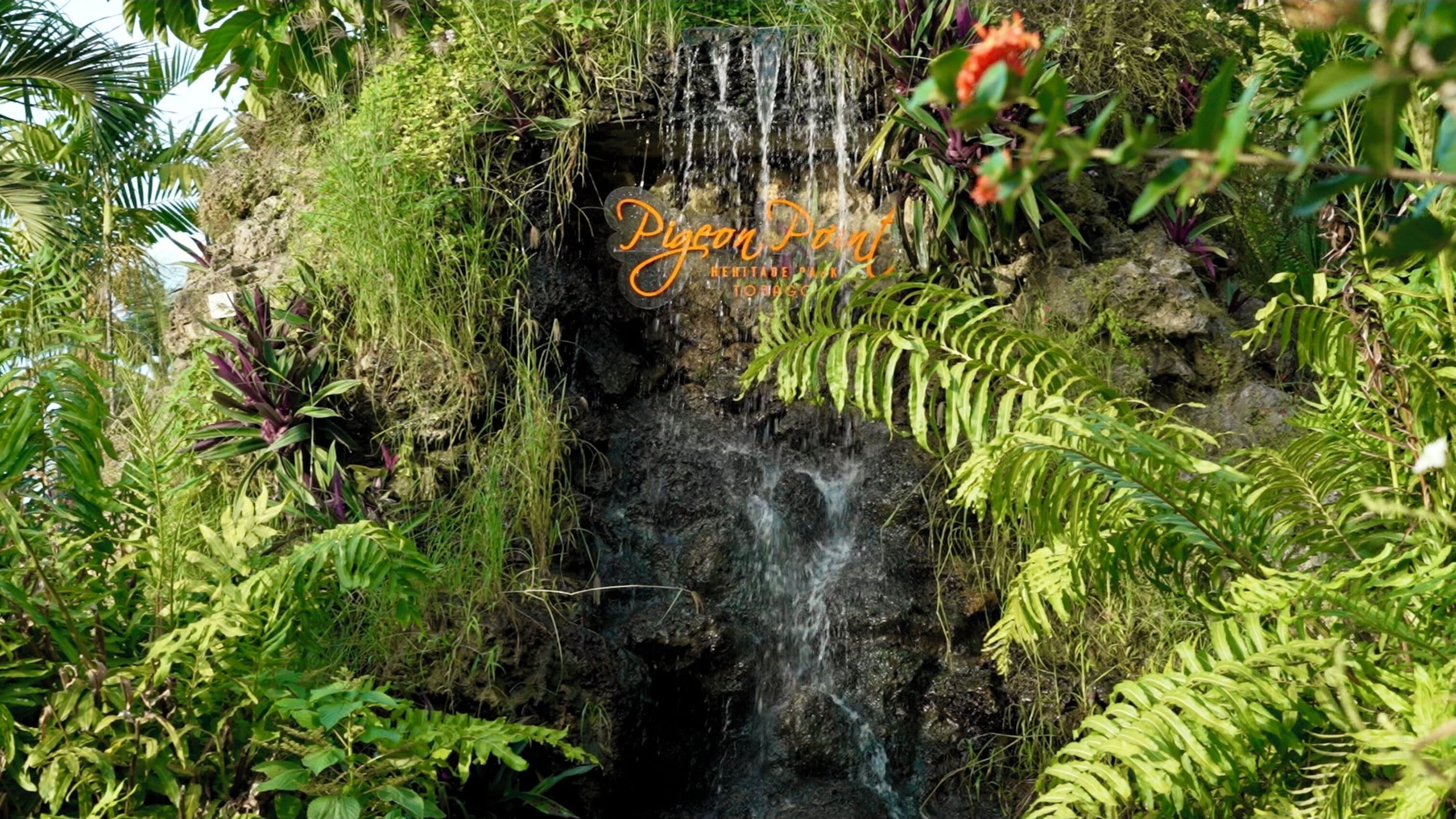 Photo - Comfort Inn & Suites Tobago