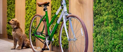 Ein grünes Fahrrad mit braunem Sattel und weißem Rahmen, das an eine Wand mit einem vertikalen Moosgarten gelehnt ist.