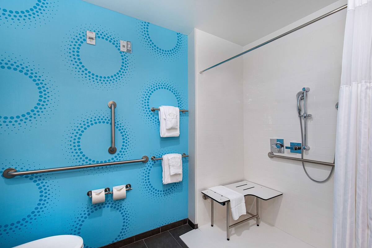 room, 1 king bed, accessible (roll-in shower) | bathroom shower