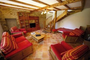 TV, fireplace, books