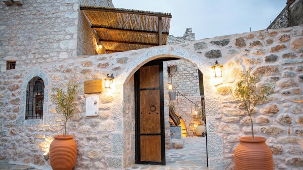 A stone building with a wooden door, two potted plants, and a sign.