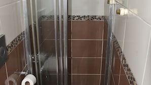 A bathroom with a shower enclosure, a toilet, and a roll of toilet paper on the wall. - Taksim Palace Hotel Apart  (Istanbul)