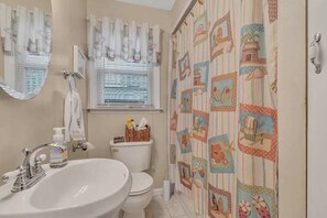 Combined shower/tub, hair dryer