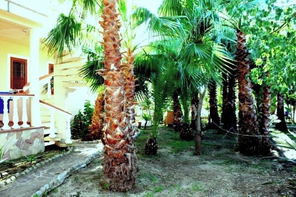 Parco della struttura