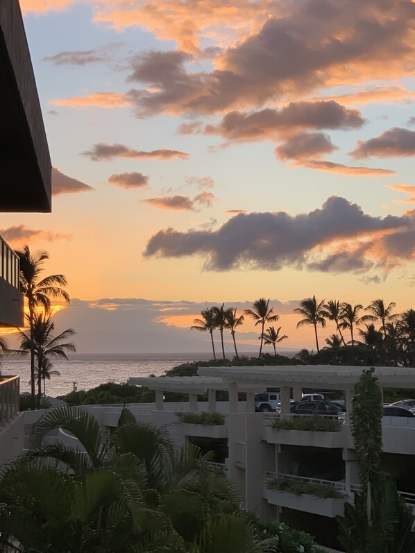 A view of a coastal area with palm trees and a sunset.