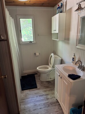 Combined shower/tub, hair dryer, towels, soap