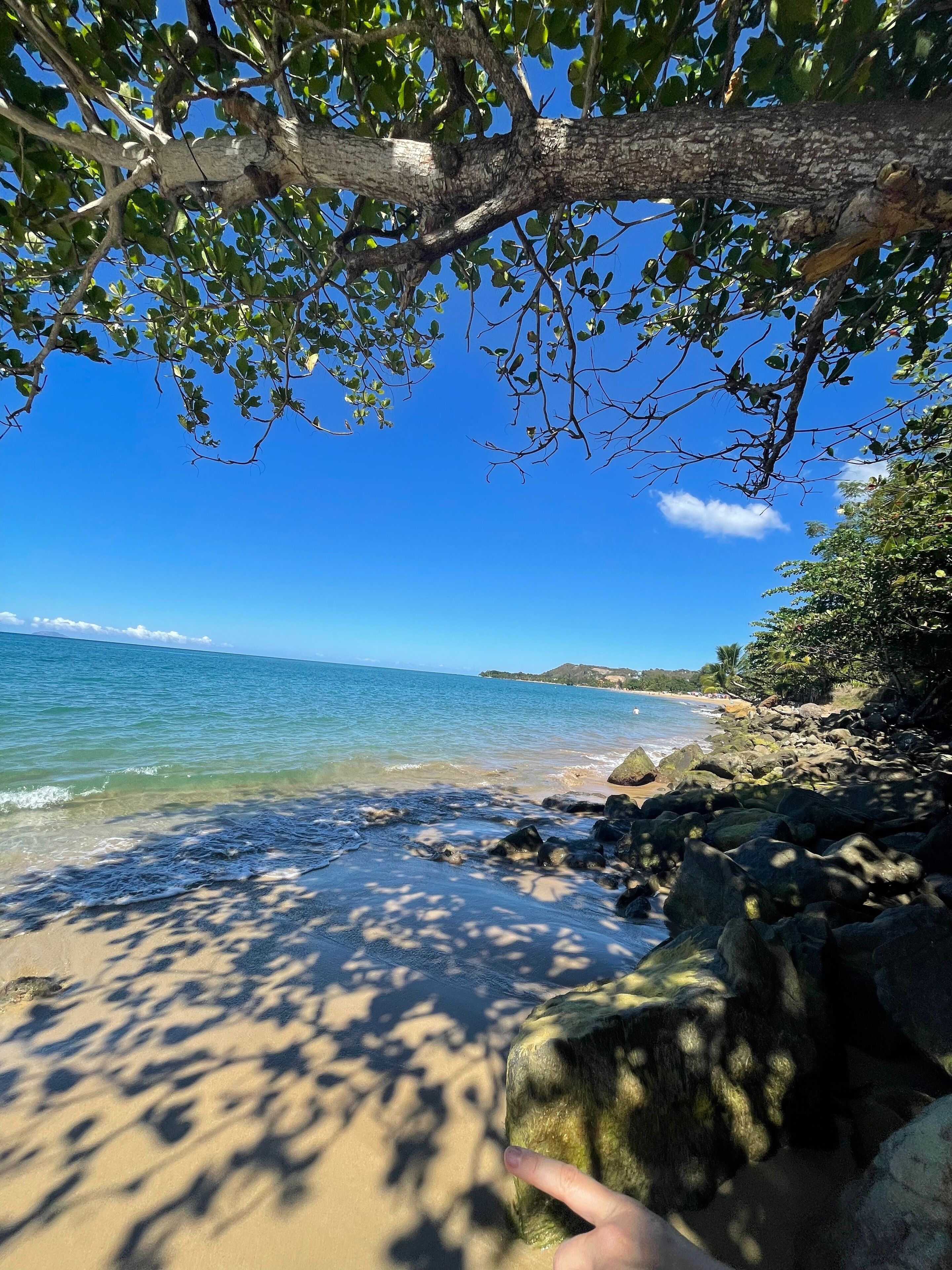 In Strandnähe, Strandtücher