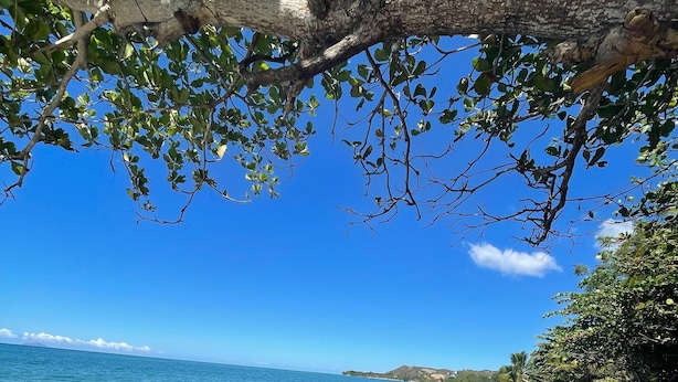 Ein Strand mit klarem, blauem Wasser, felsigem Ufer und dichter Vegetation darüber.