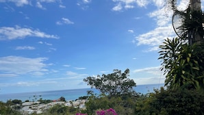 Blick auf die Küste mit blauem Himmel, einem Baum und einem Gebäude im Hintergrund.
