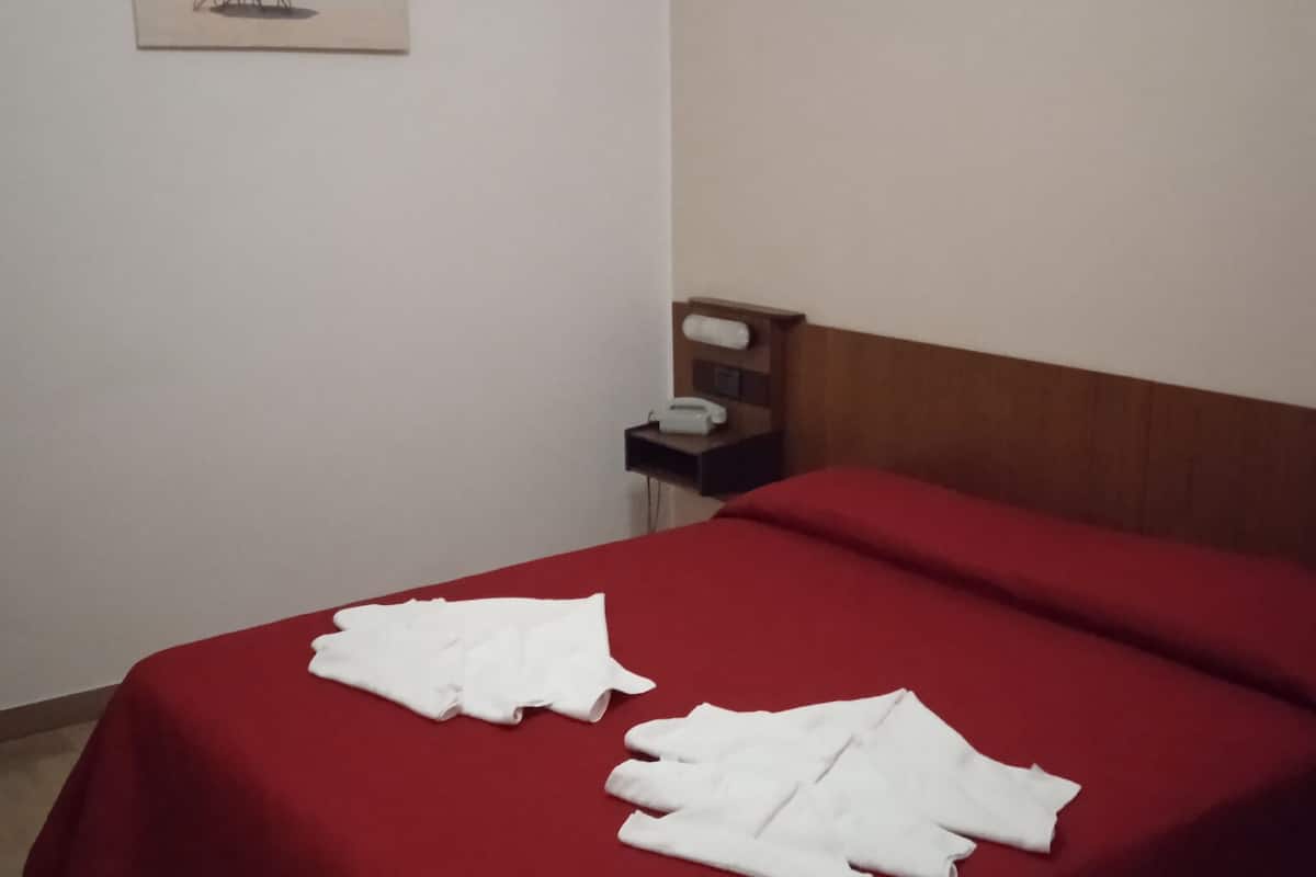 Habitación básica doble | Ropa de cama hipoalergénica y decoración personalizada