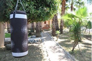 Property grounds - Studio apartment in Capovaticano No. 9 (Ricadi)