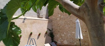 Ideal house to disconnect (suitable for pets)