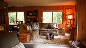 Smart TV, fireplace, books