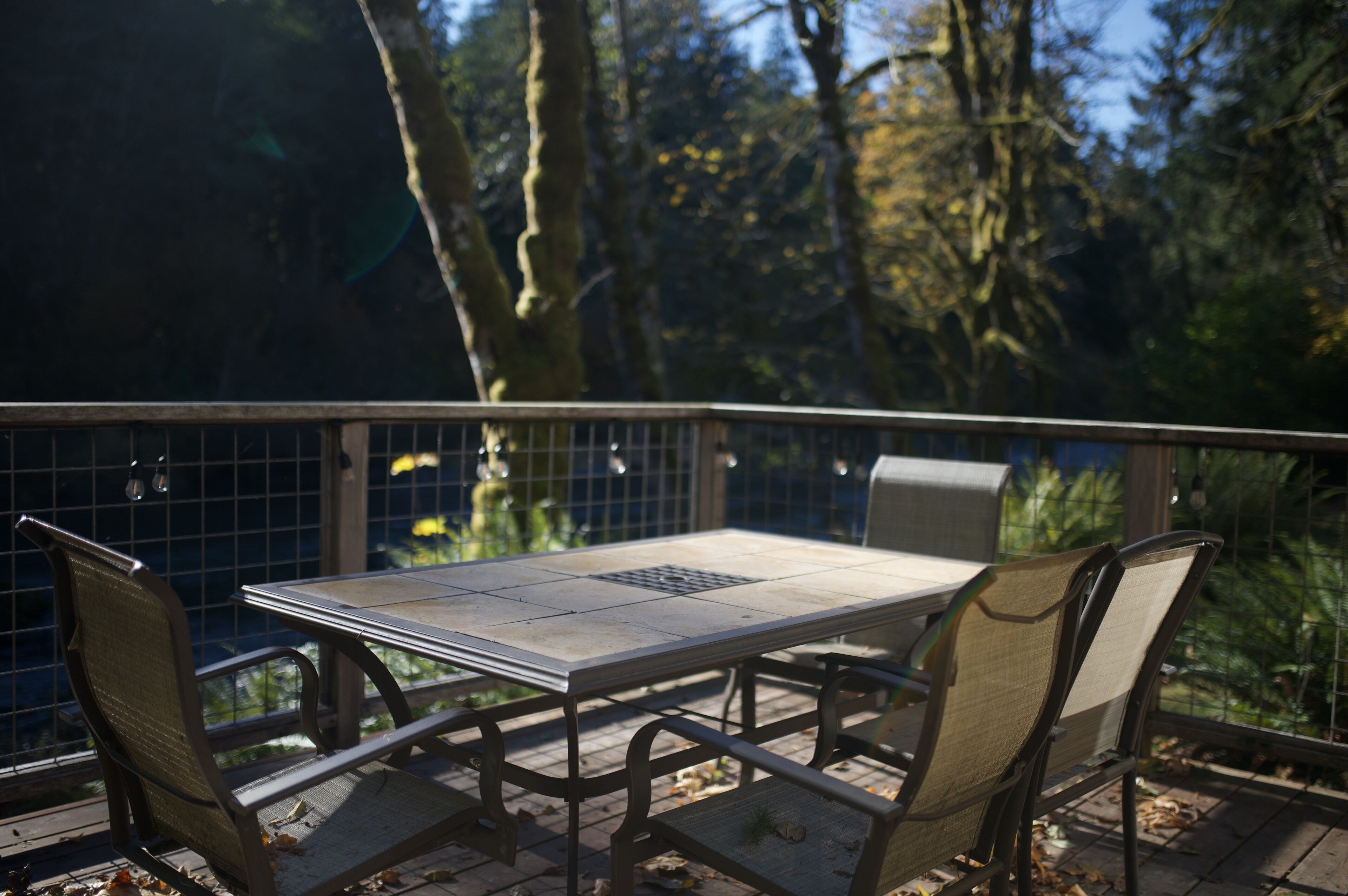 An outdoor patio with a table and chairs, surrounded by a metal fence, overlooking a forested area.