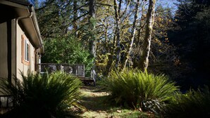 A house with a deck surrounded by trees and ferns.