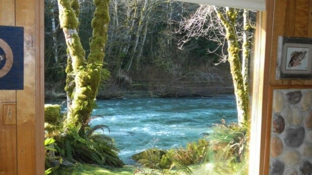 A window with a view of a river surrounded by trees and greenery.