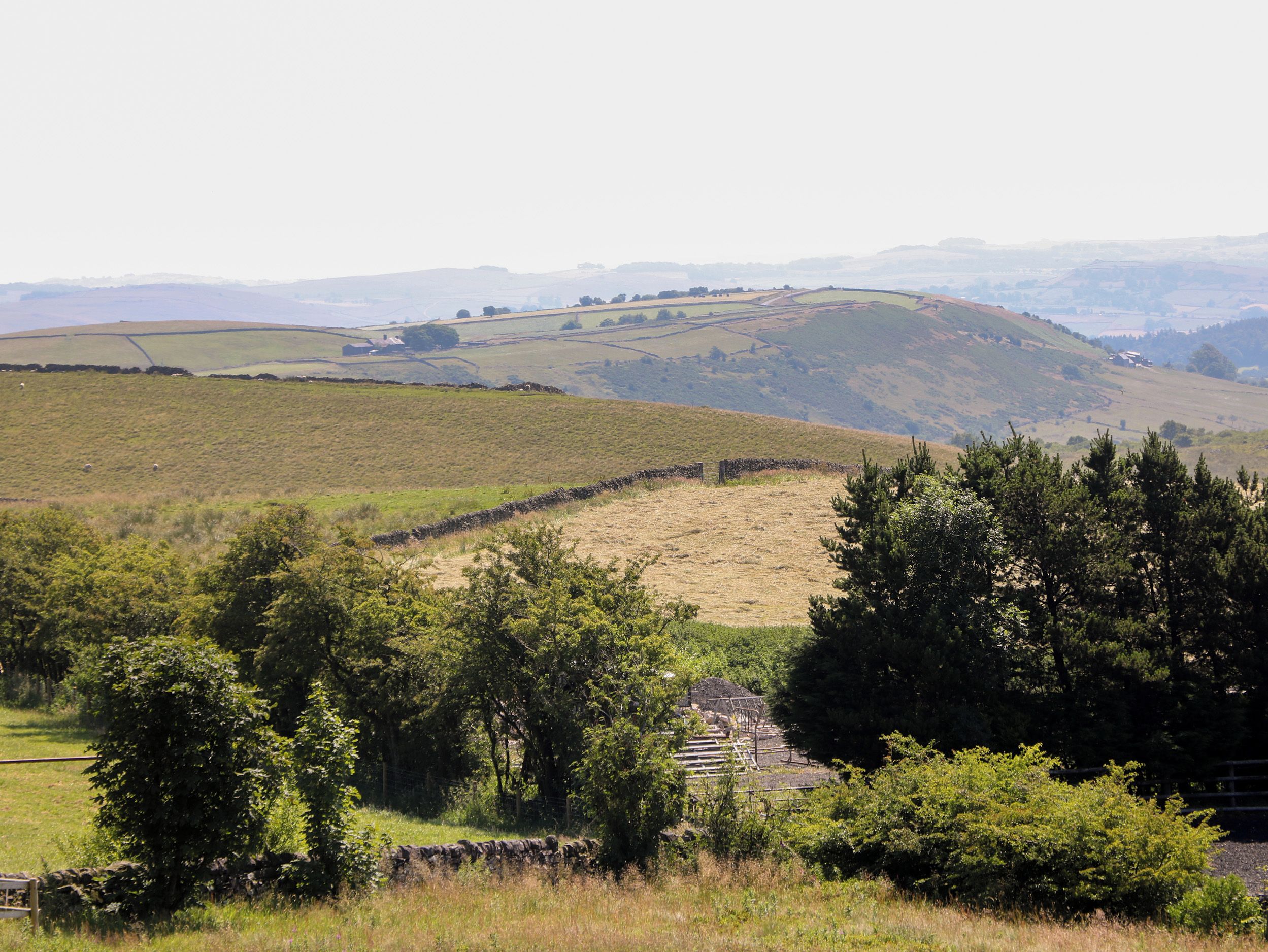 A rural landscape with rolling hills, stone walls, and scattered trees.