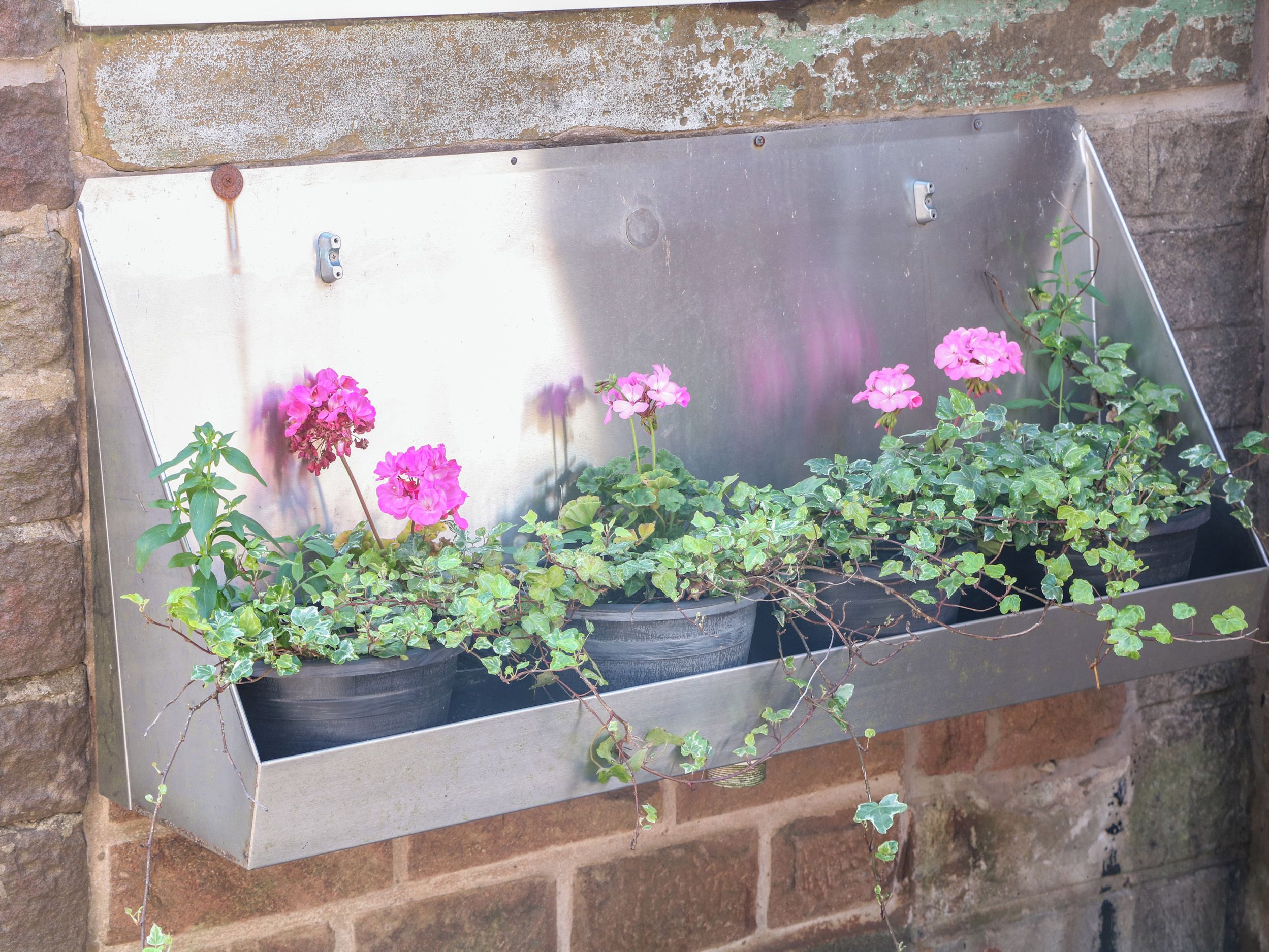 Un bac à plantes en métal, contenant des plantes en pot et des fleurs, est placé contre un mur de briques.