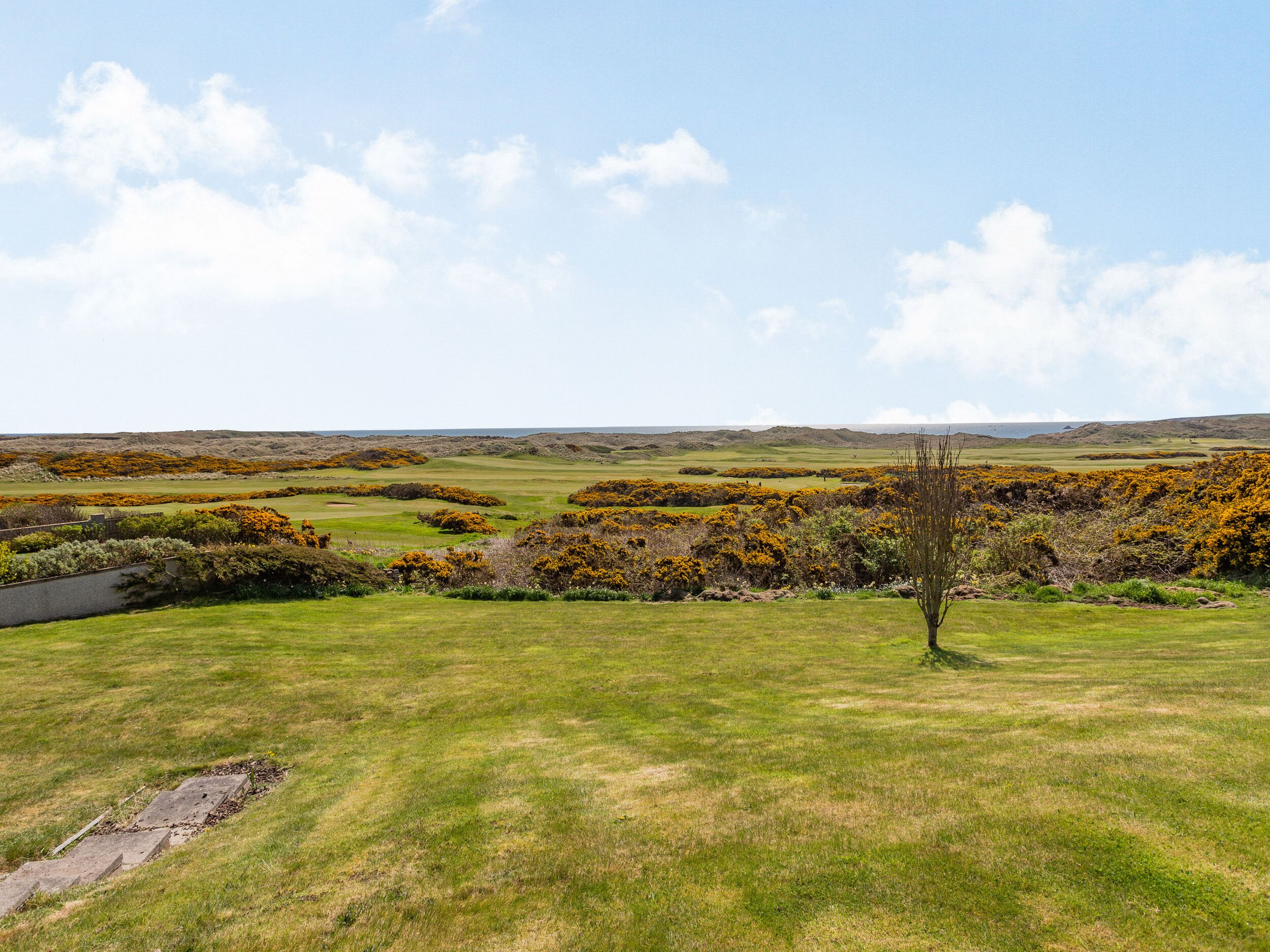 A grassy field with a clear sky and distant hills.