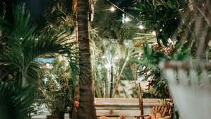 A nighttime outdoor seating area with palm trees, string lights, and wooden furniture. - Hostel Oryx Tulum (Tulum)