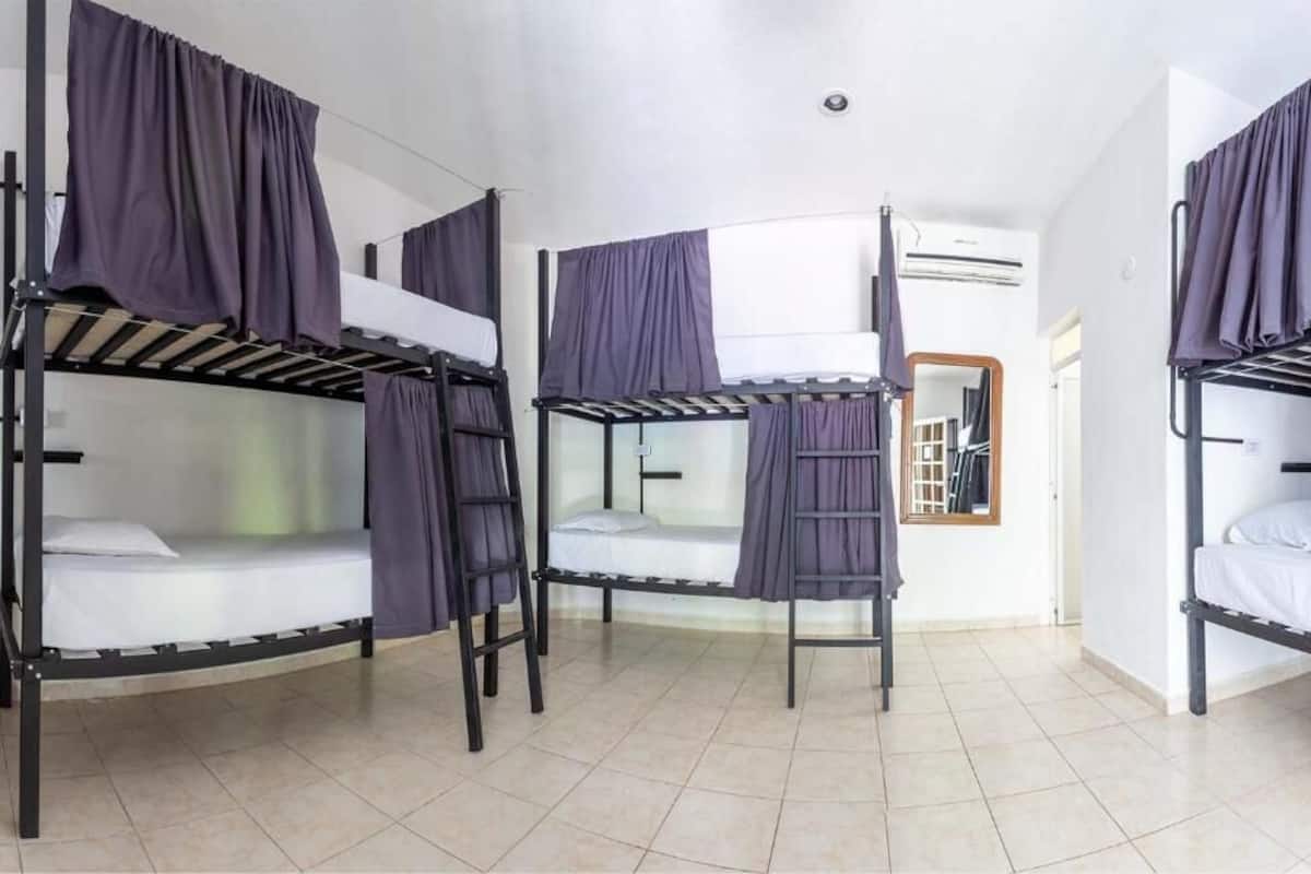 A dormitory room with four bunk beds, each with a ladder and covered with purple curtains.
