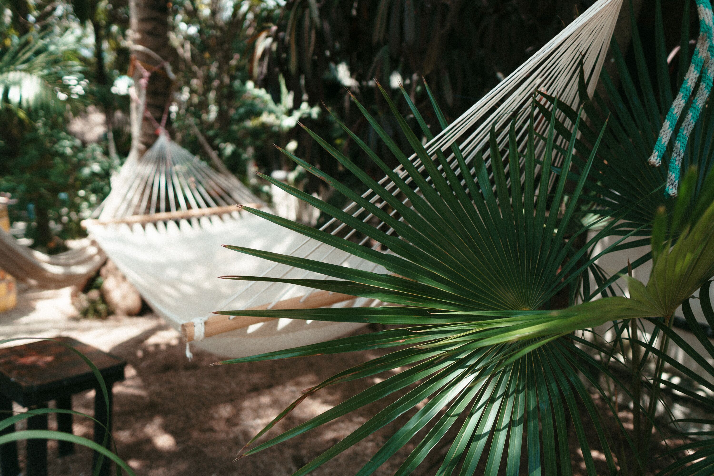 A hammock in a garden with palm trees.