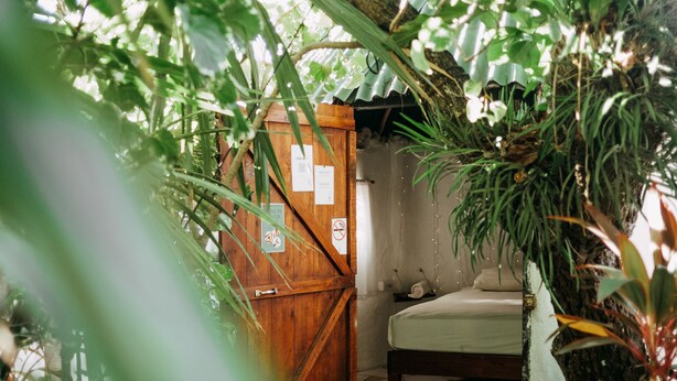 A wooden door leading to a room with a bed, surrounded by lush greenery and a small garden. - Hostel Oryx Tulum (Tulum)