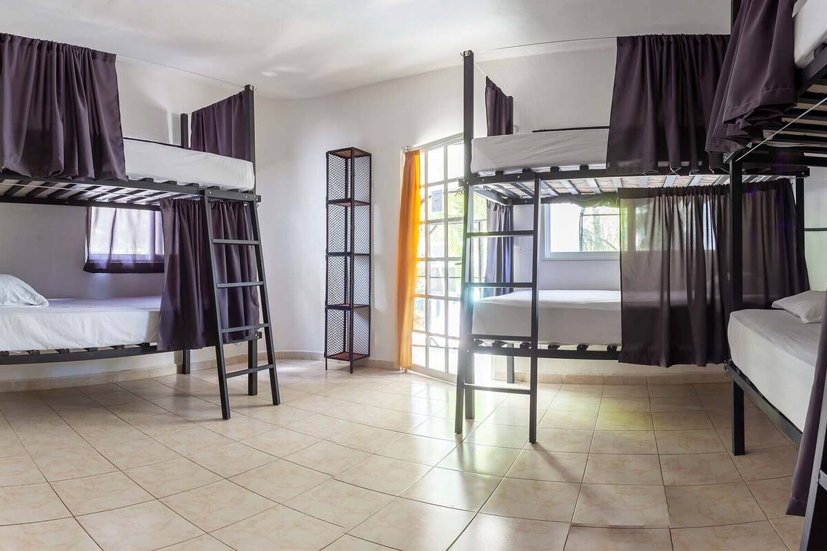 A dormitory room with bunk beds, a ladder, and a window with curtains.
