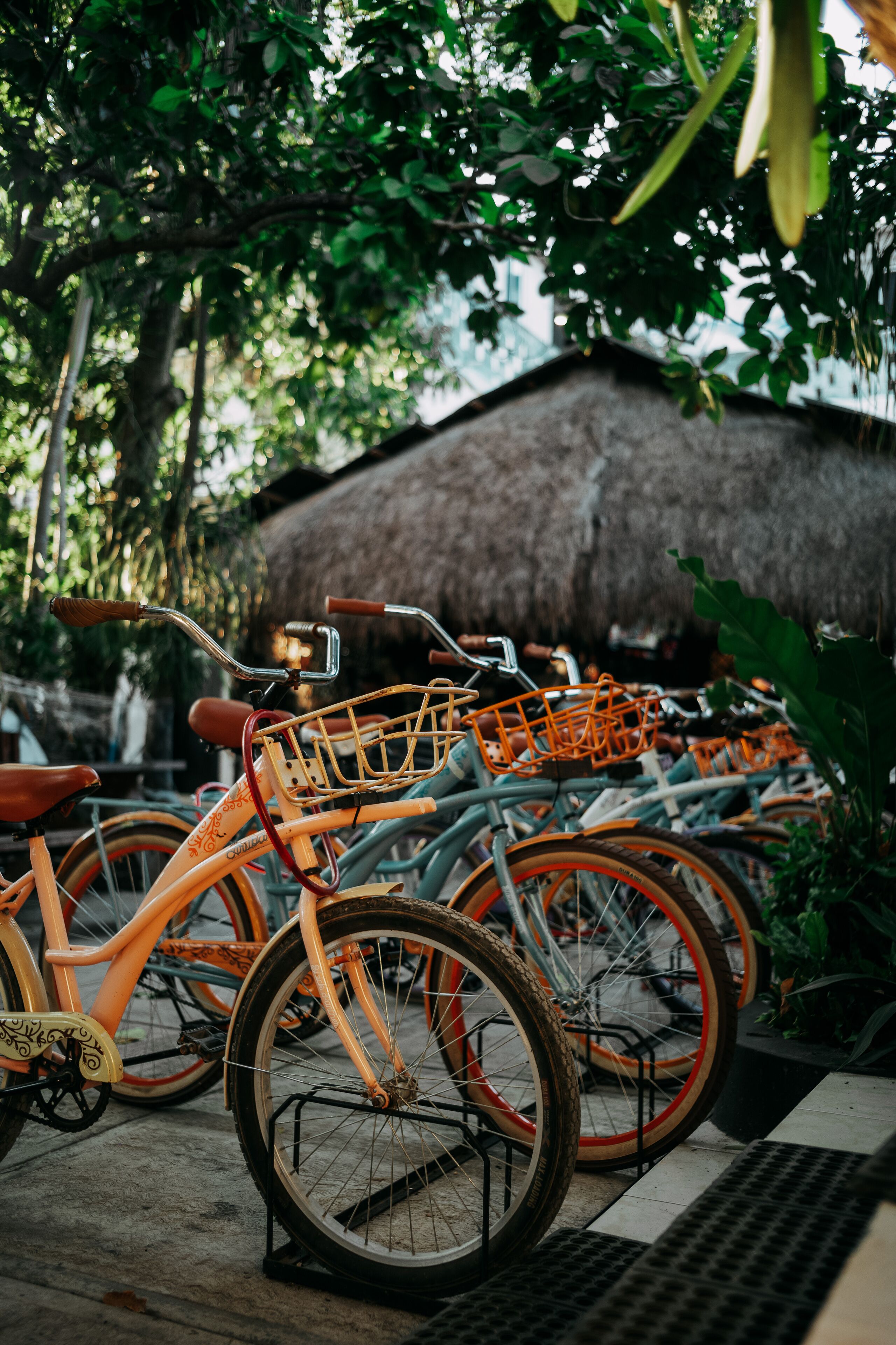A row of bicycles parked in an outdoor area with a thatched-roof structure in the background.