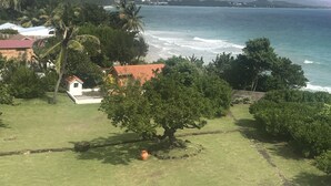 Une propriété située sur la côte, avec une pelouse verdoyante, un petit bâtiment blanc doté d’un toit rouge et une vue sur l’océan.