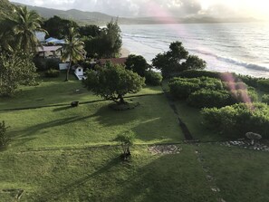 Un paysage côtier avec une zone herbeuse, des arbres et une vue sur la mer.