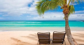 Una playa con dos sillas de metal y una palmera.