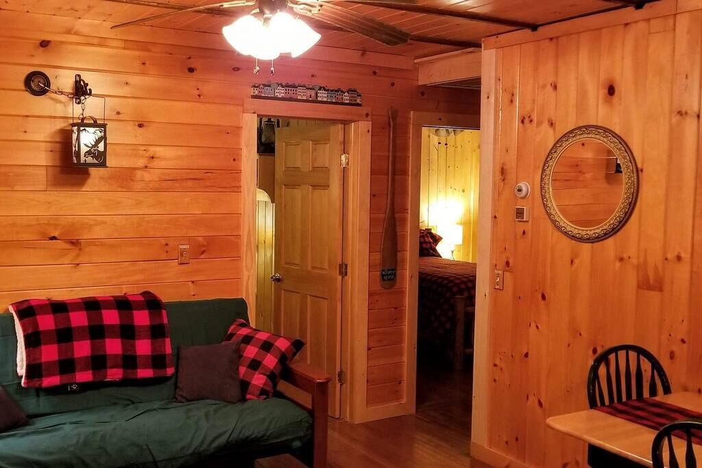 电视、壁炉、DVD 播放器、书