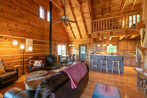 Smart TV, fireplace, books, stereo