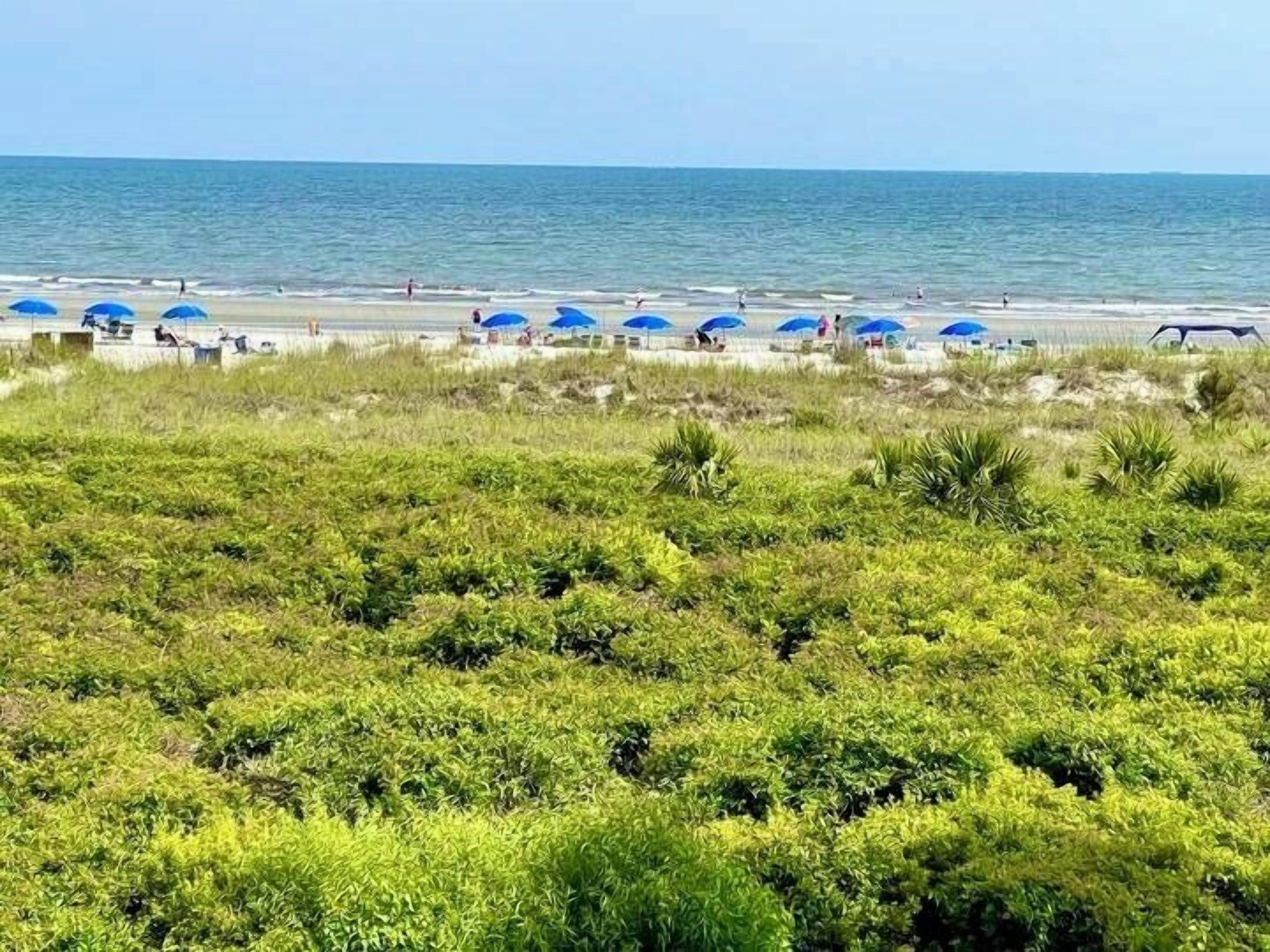 Spiaggia