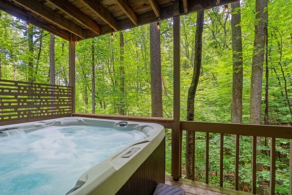 Outdoor spa tub - Dog-Friendly Mountain Cabin with hot tub, pool, & ping-pong (Ellijay)