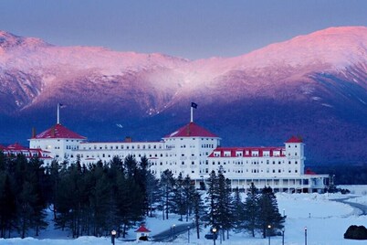 Rustic Bear Cabin w/ Hot tub
