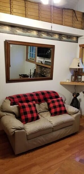 Télévision, cheminée, lecteur de DVD